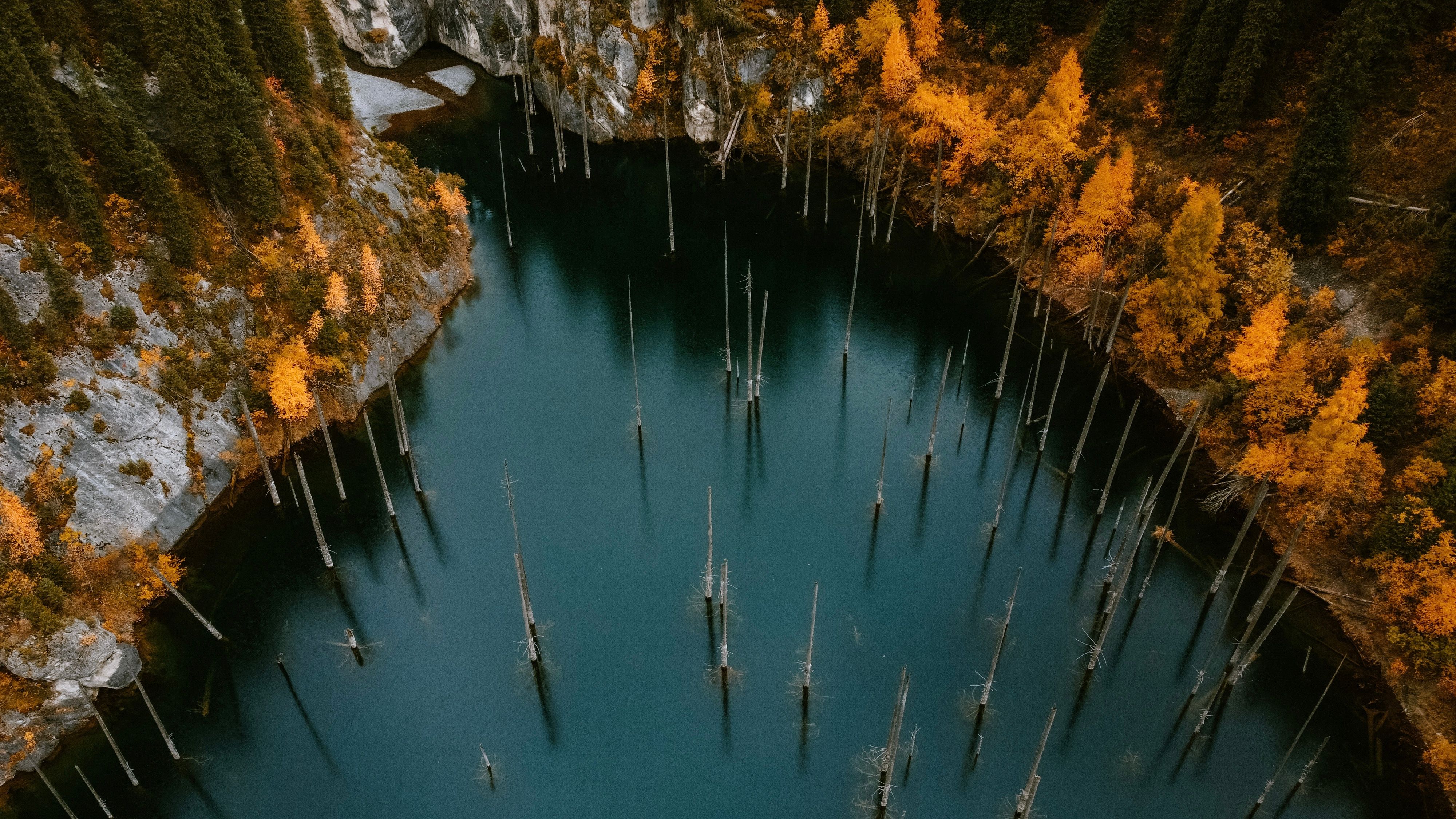 Nature tours